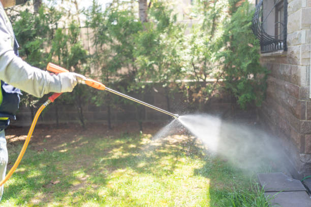 Best Spider Control Near Me  in Pine Grove Mills, PA