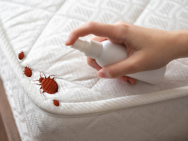 Flea Control Services in Pine Grove Mills, PA