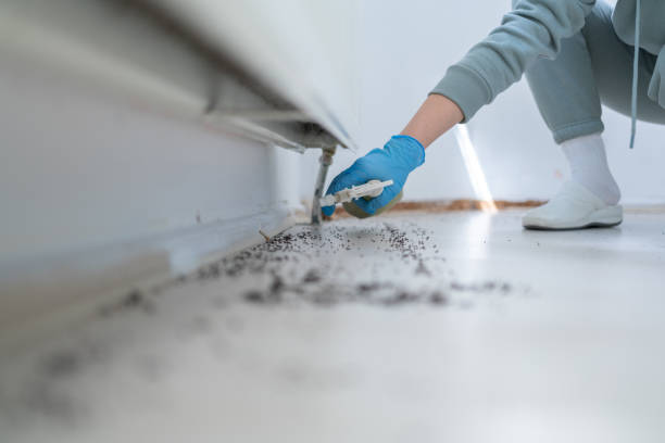 Best Mosquito Control Services  in Pine Grove Mills, PA